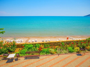 Эллинг у Зои