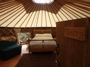 Cherry Yurt - Campsite