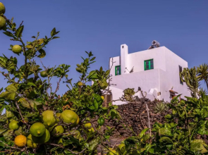 Eco Finca Verde
