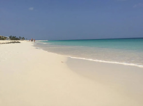 Acozy Nice Studio Palm Beach,wifi Free,beach Close