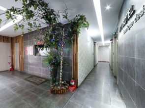 Suwon Ivy