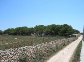 Room in House - Magical Holidays In A Dammuso In Favignana Nestled In A Pine Forest