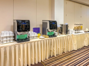 Congress & Wellness Hotel Olsanka