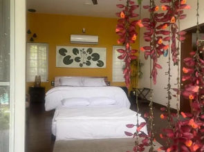 Orchid Tree Wellness Retreat