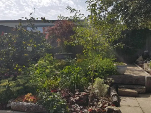 Birch House B&B