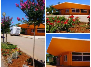 Sunflower Camping Savudrija