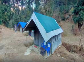 Camping At Natures Nest