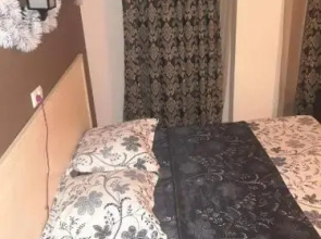 Hotel Mgzavrebi in Bakuriani apartment