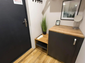 Cozy apartment in the Center - Podilskyi lane 7