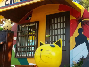 Cape 42 Hostel III