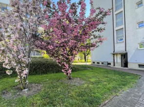 3L Apartments Kladka