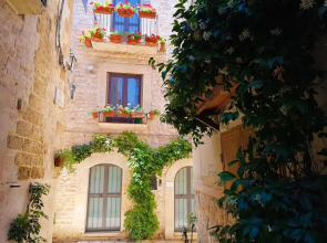 Francis' Guest House