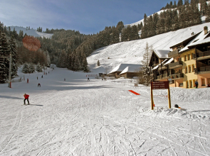 Chalet 1005