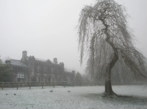 Newpark House