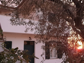 B&B Il Falco e l'Ulivo