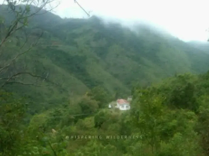 Hotel Whispering Wilderness - Sholur