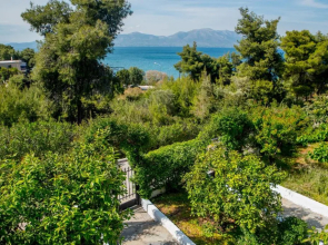 ILIOCHARI sea view apartments Oropos - Kalamos