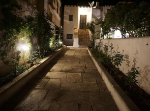 Two Olive Trees