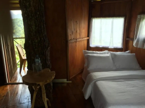 The Tree House