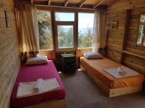 Shiva Camp