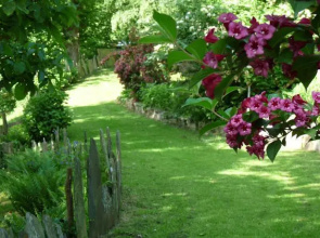 Chambre d'hôtes "le jardin des sitelles"