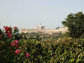 Il Podere del Falco