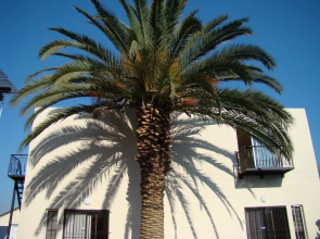 Louhallas Bed & Breakfast