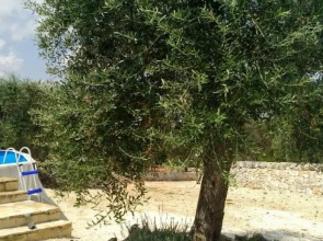 I trulli di Jo
