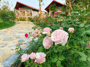 Ms Taha Villas Ba Vi