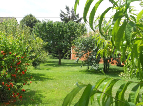 Au Paradis Vert