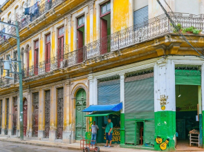 Casa Palomino House