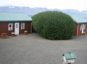 A Friendly Cottage