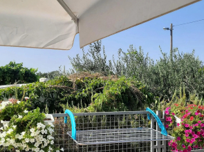 Studio apartman Mare