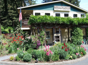 Fern Grove Cottages
