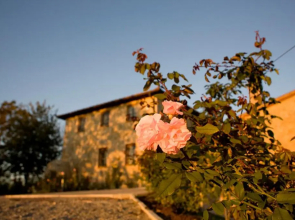 Villa Il Castagno Wine & Resort