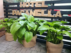 Hotel Paganella di Molveno