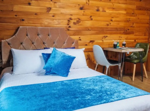 Wellbeing Log Pension