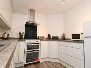TOWN CENTRE apartment dogs welcome