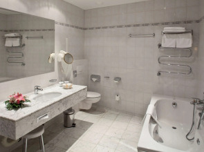 Ambassador Zlatá husa