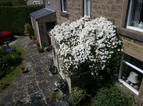 The Cottage
