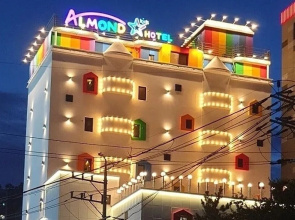 Almond Kids Hotel