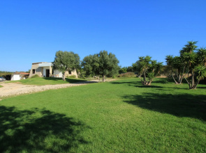 Rosemary Vista Mare
