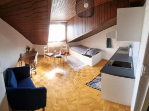 Momo's appartement - in center of fribourg!