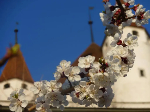 Hotel Restaurant Schwert Thun