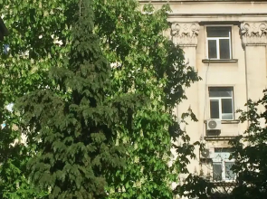 Apartments next to Opera