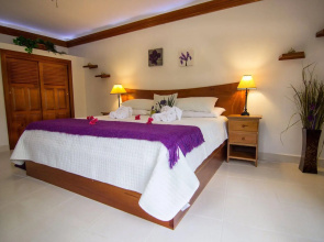 Bocawina Rainforest Resort & Adventures