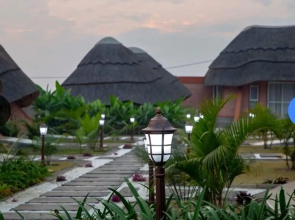 Masheda Palms