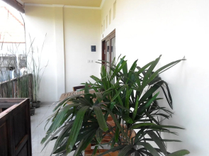 d'Rompok