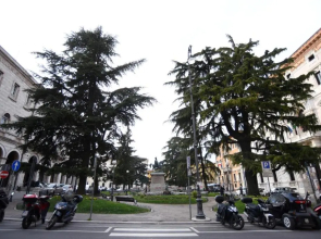 Suite Calderini