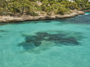Barceló Ponent Beach